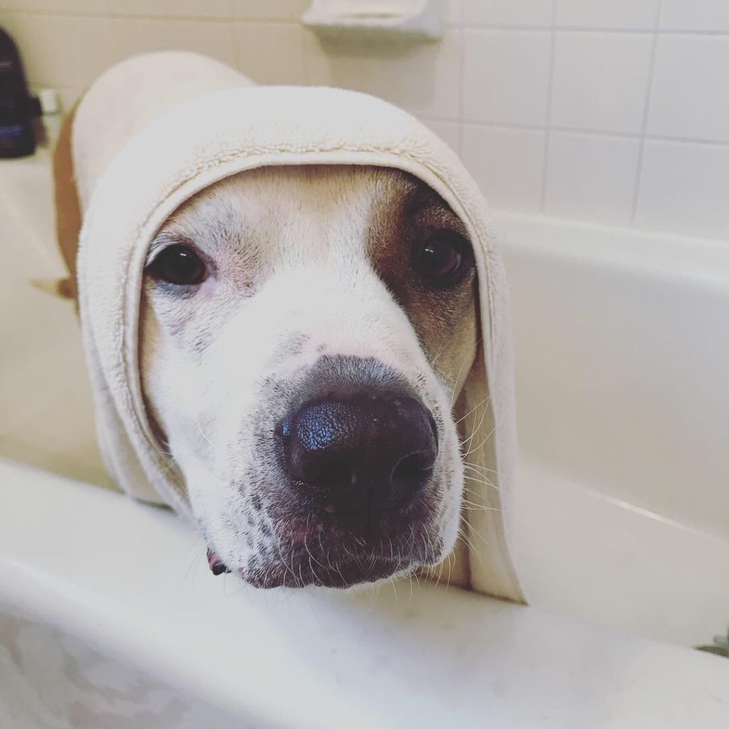 Jameson at bath time